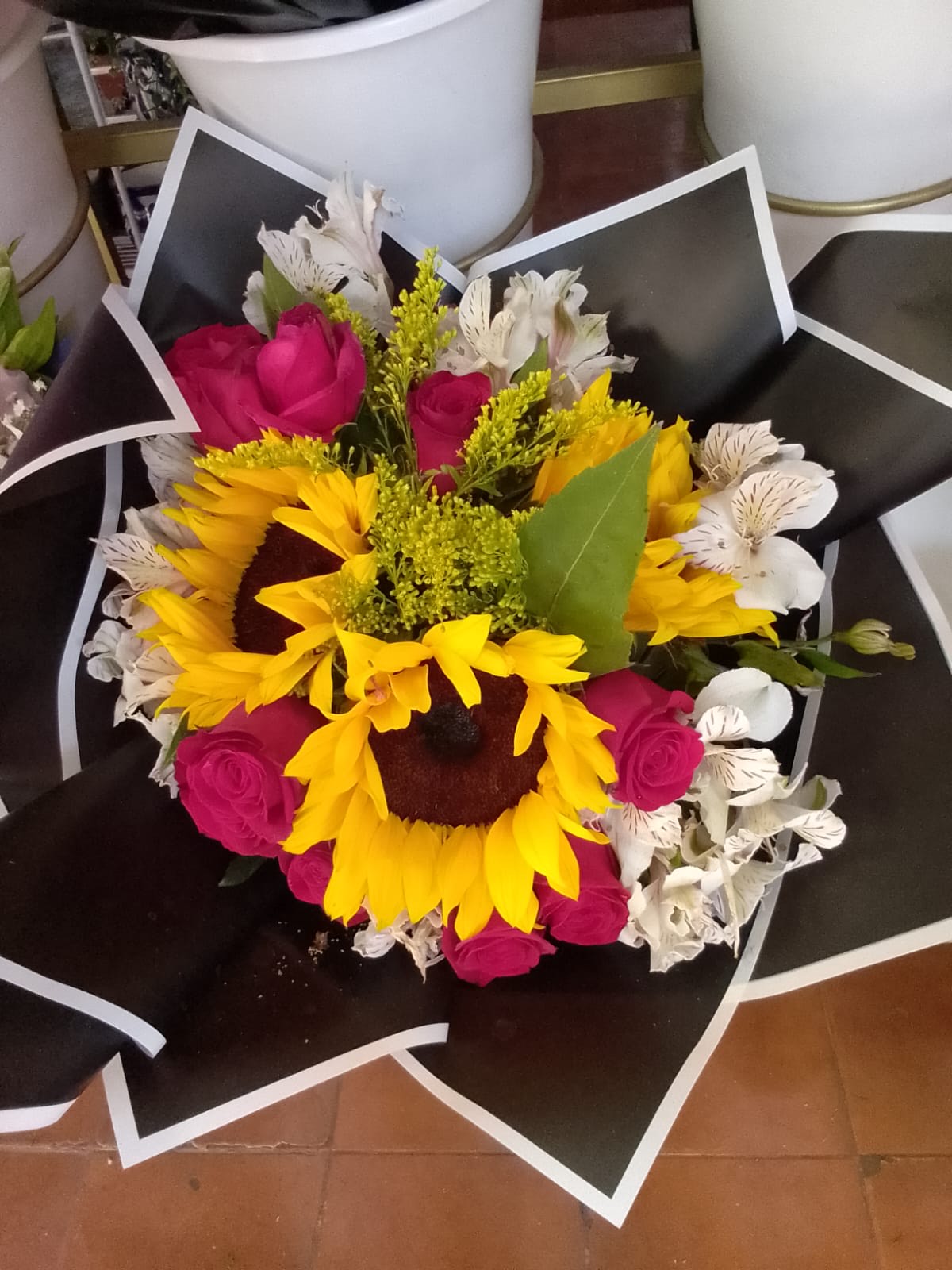 Girasoles