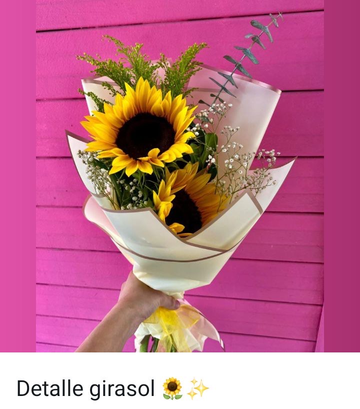 Girasoles