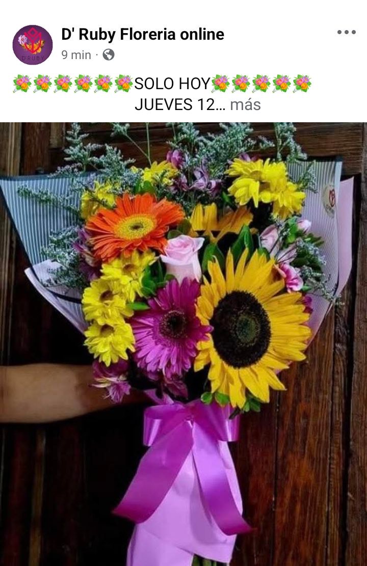 Girasoles