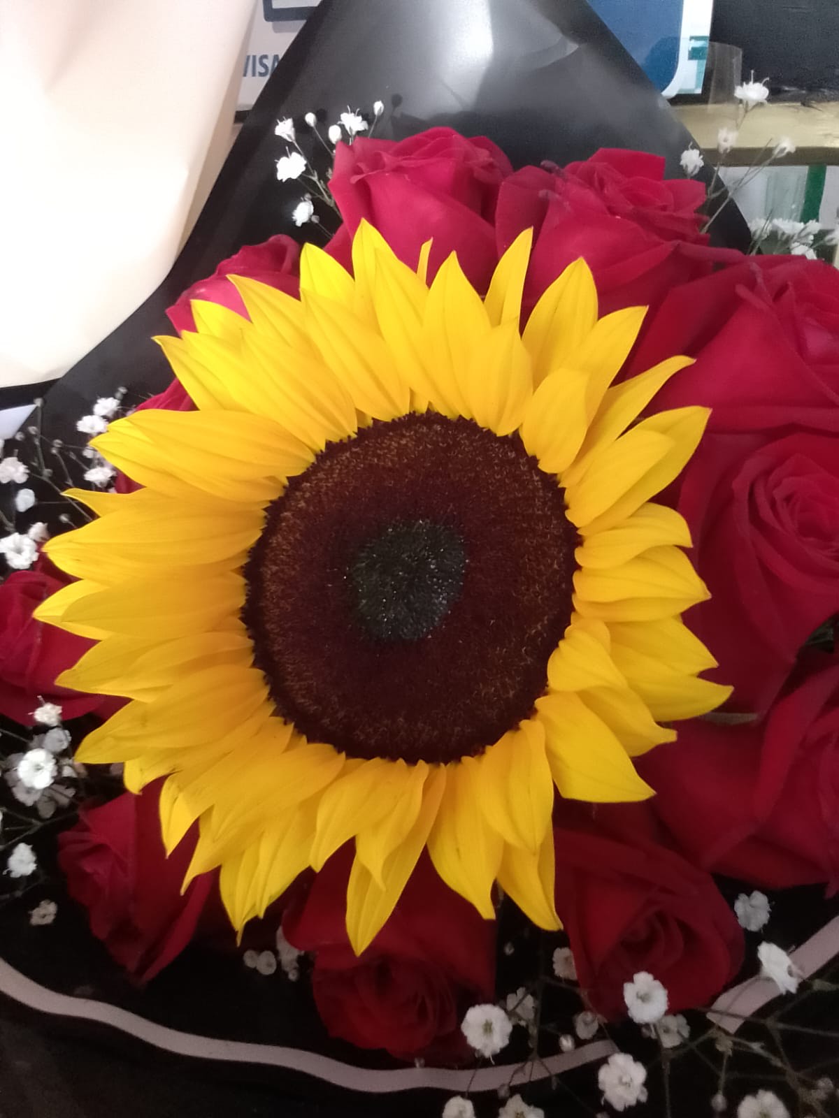 Girasoles