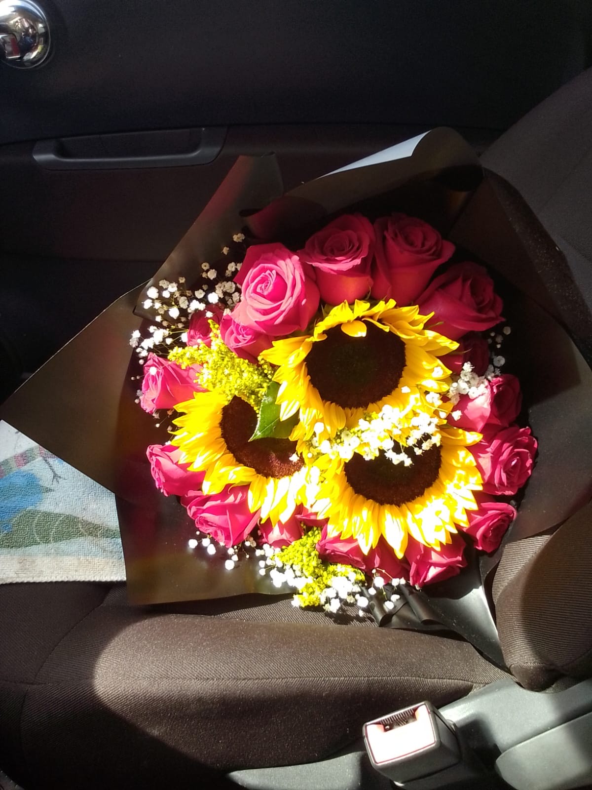 Girasoles