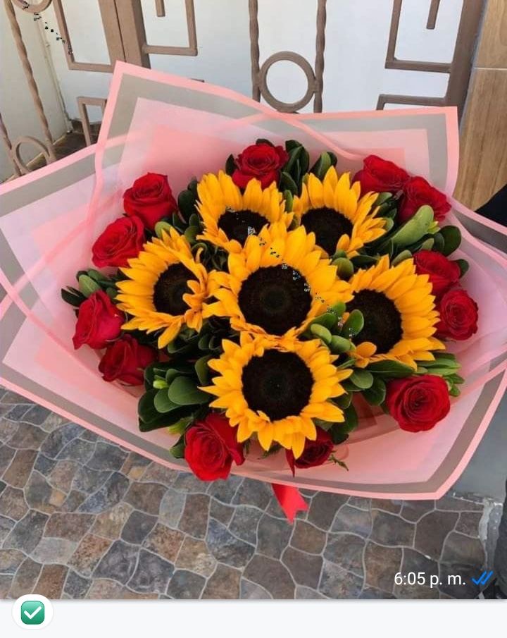 Girasoles
