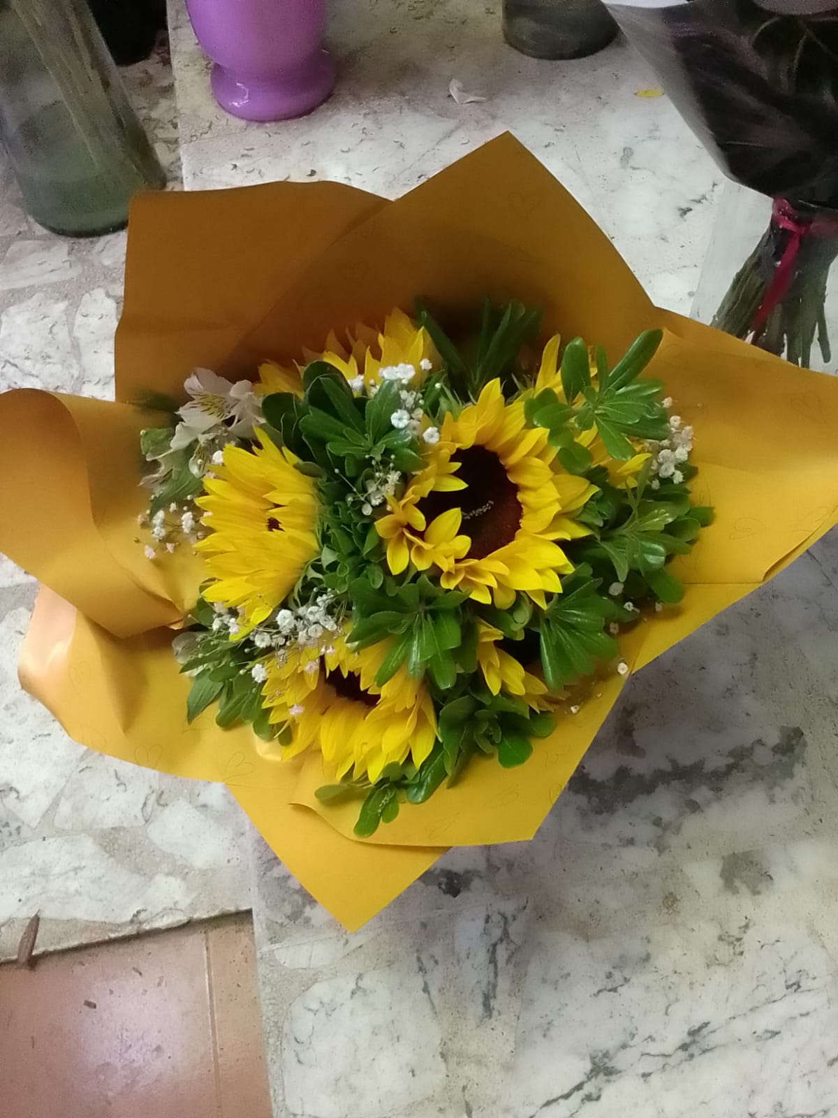 Girasoles