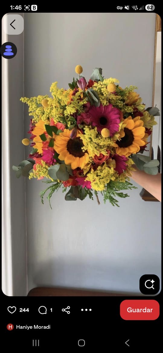 Girasoles