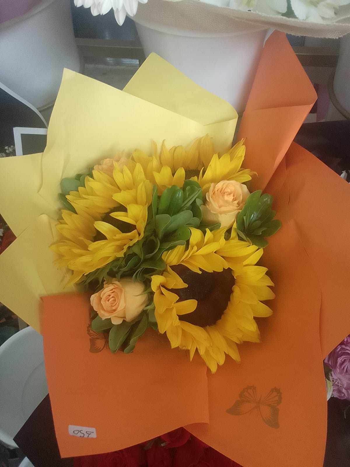 Girasoles
