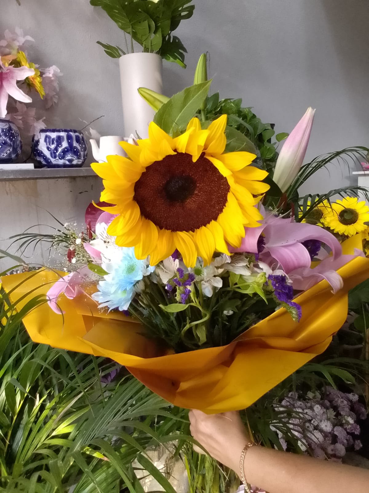 Girasoles