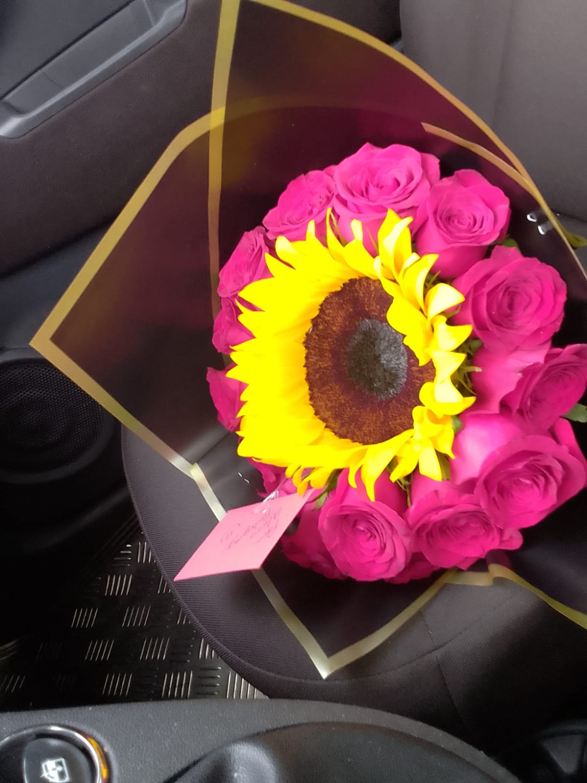 Girasoles