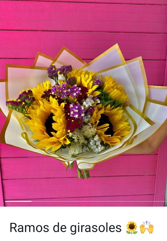Girasoles