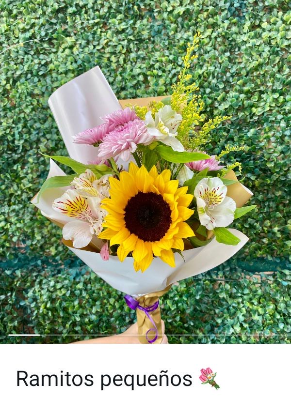 Girasoles