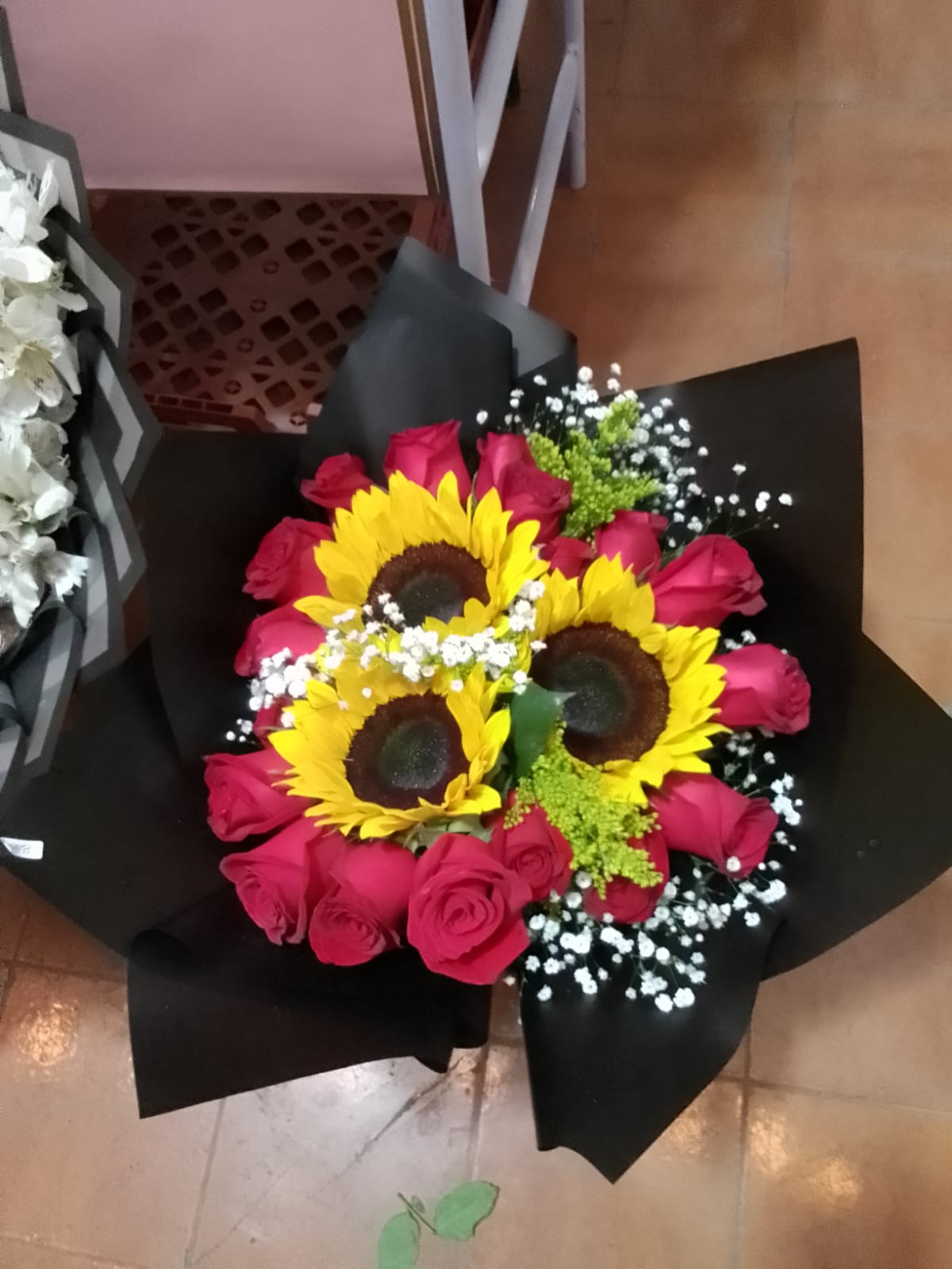 Girasoles