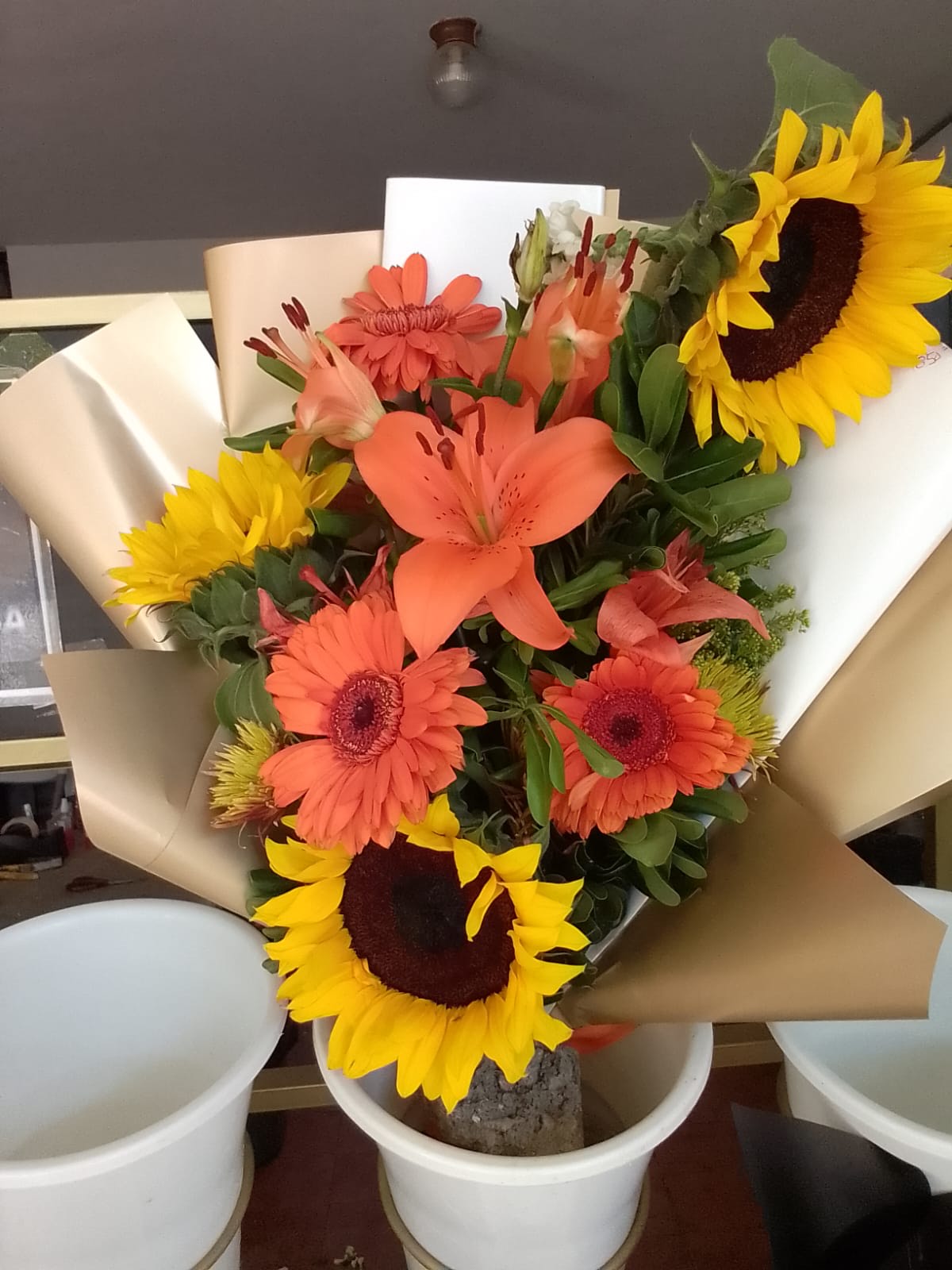 Girasoles