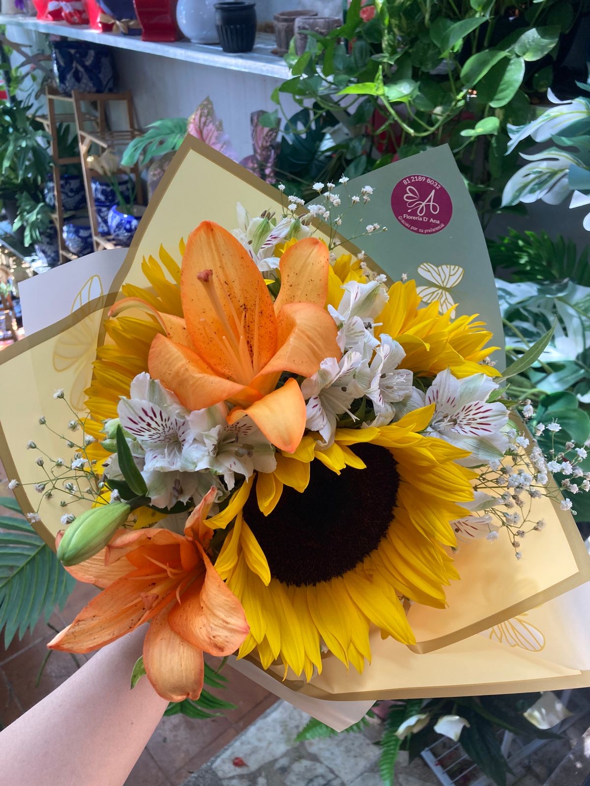 Girasoles