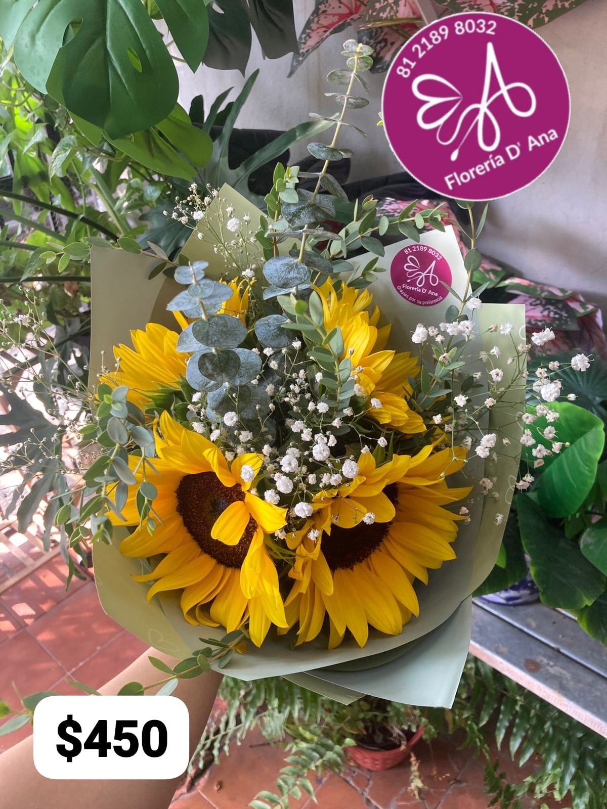 Girasoles