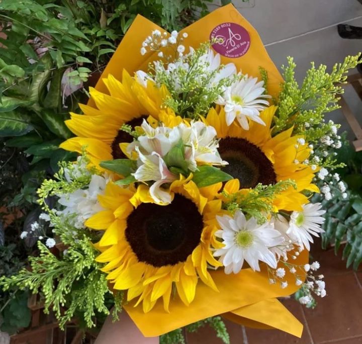 Girasoles