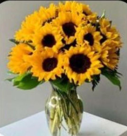 Girasoles