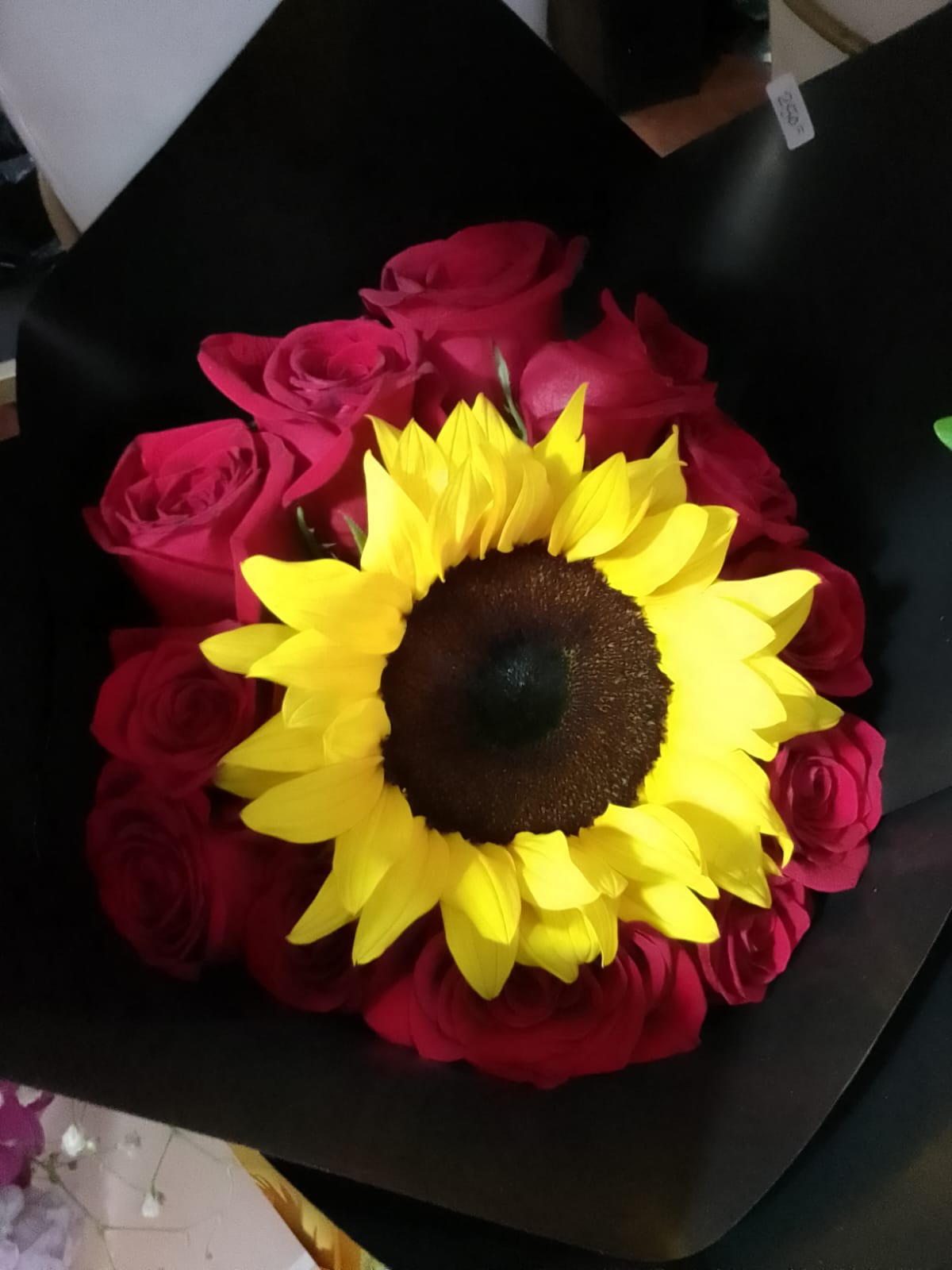 Girasoles