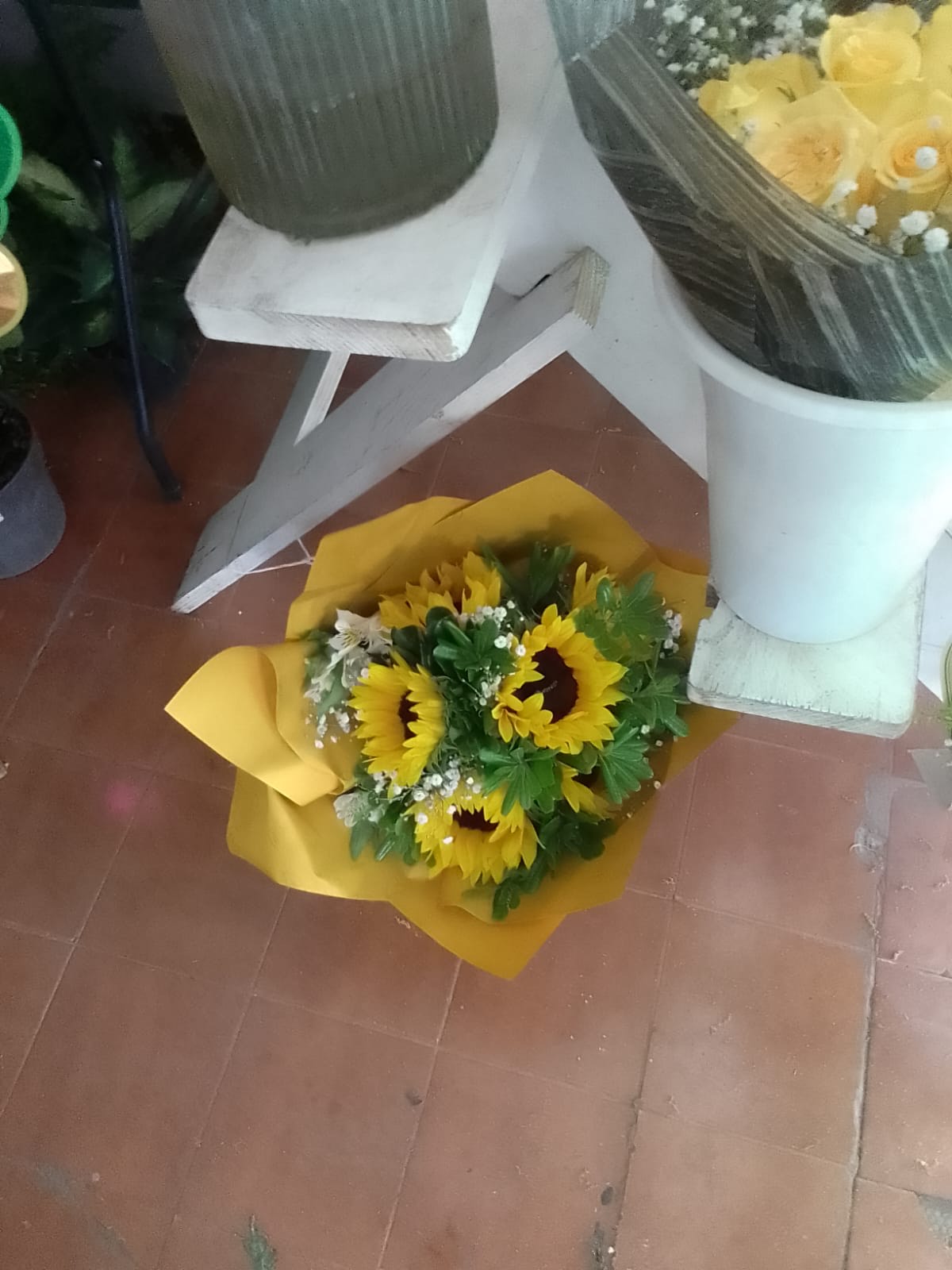 Girasoles