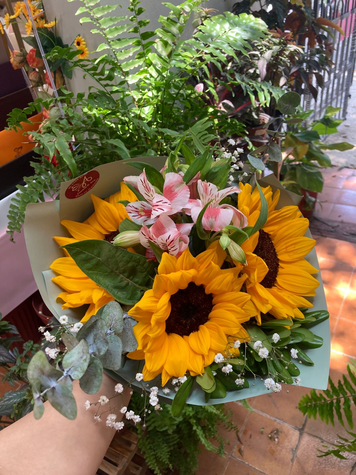 Girasoles