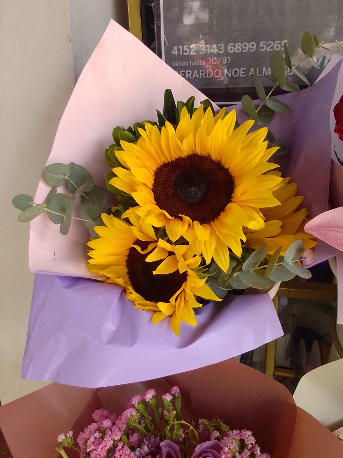 Girasoles