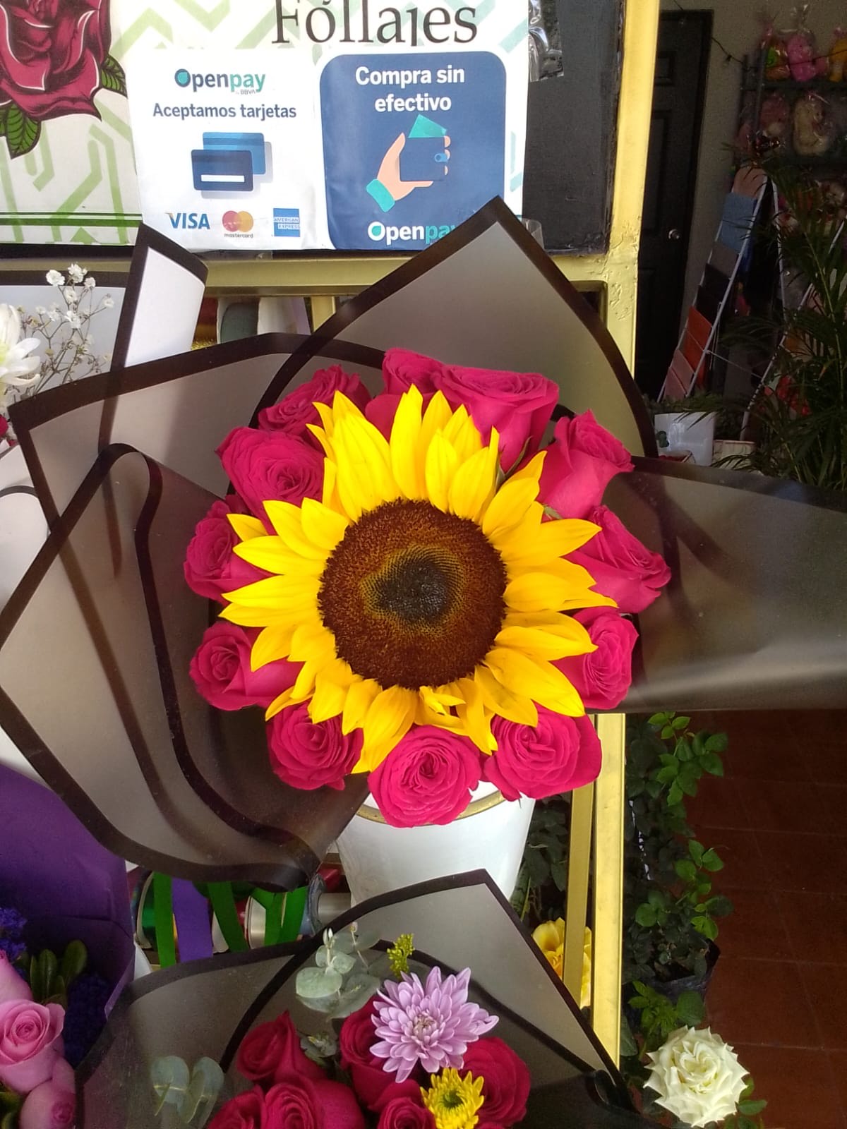 Girasoles
