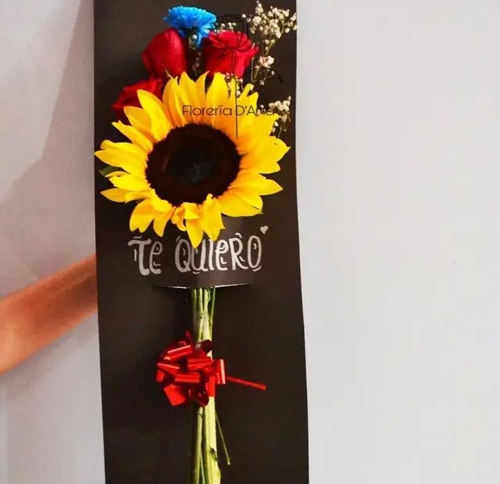 Girasoles