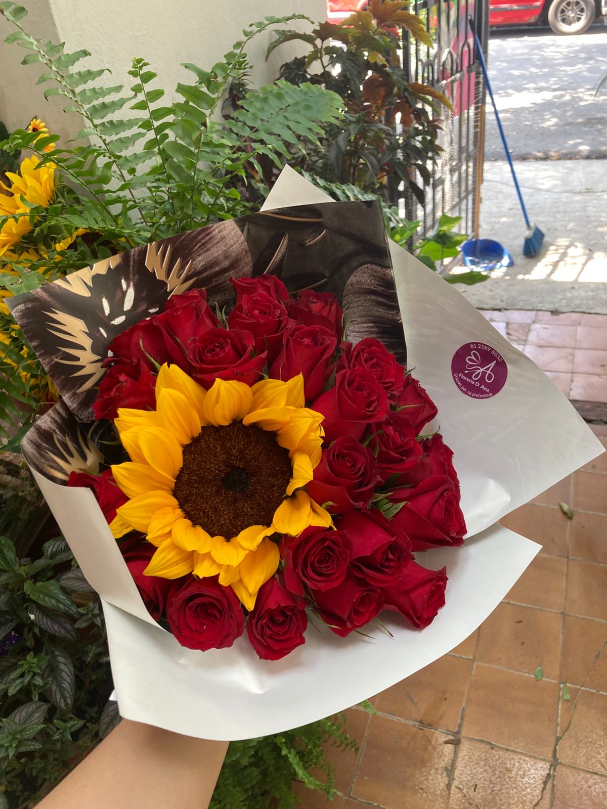 Girasoles