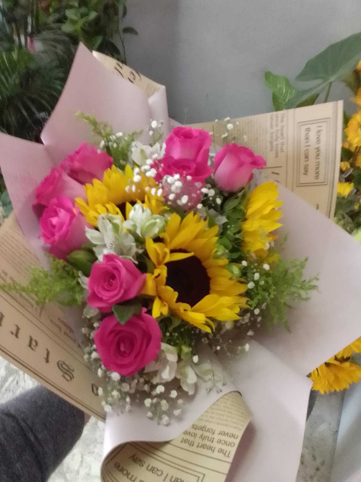 Girasoles