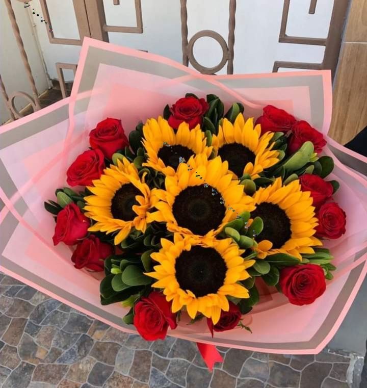Girasoles