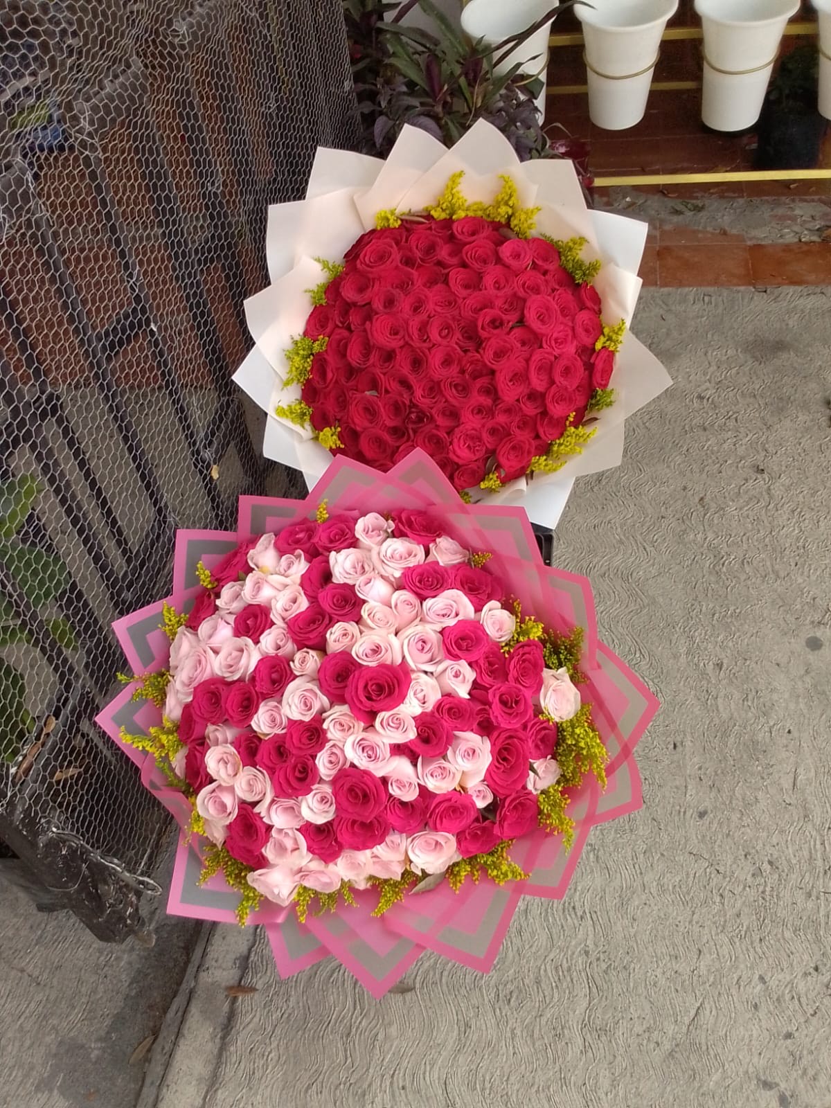 Rosas