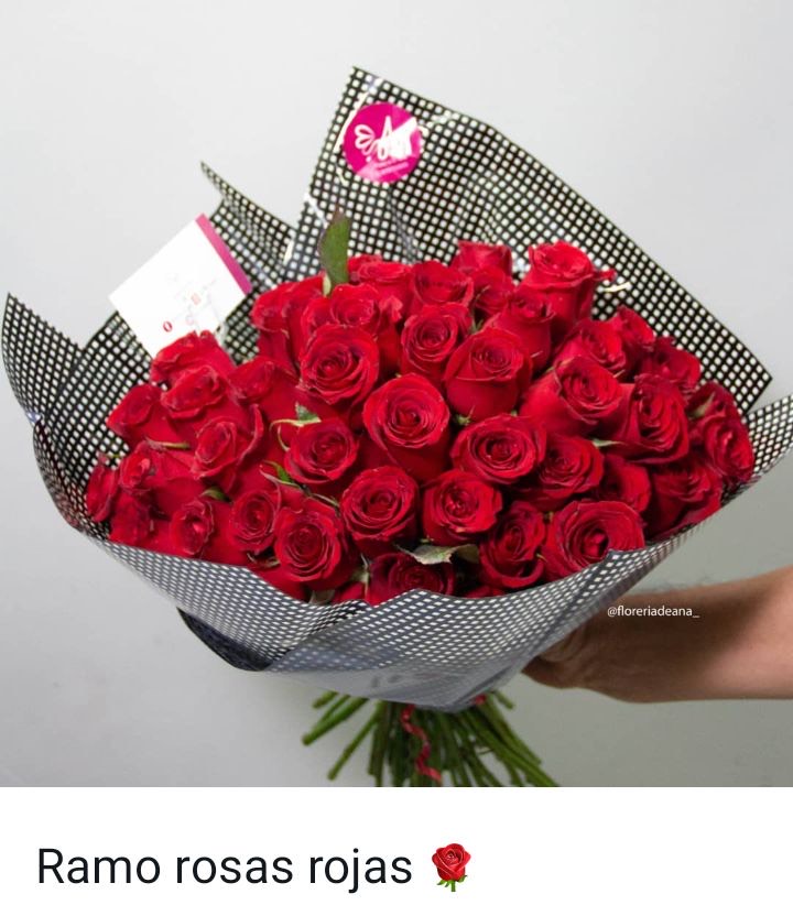 Rosas