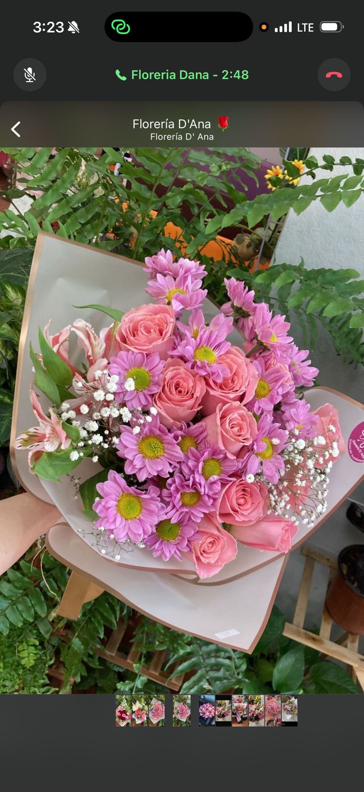 Rosas