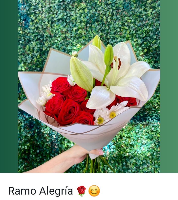 Rosas