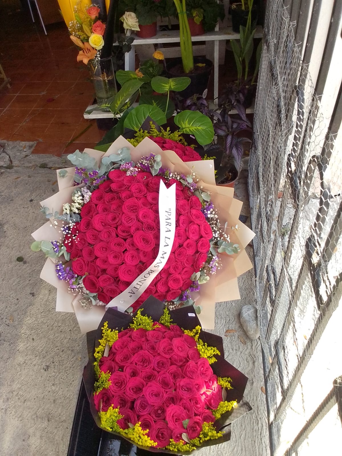 Rosas