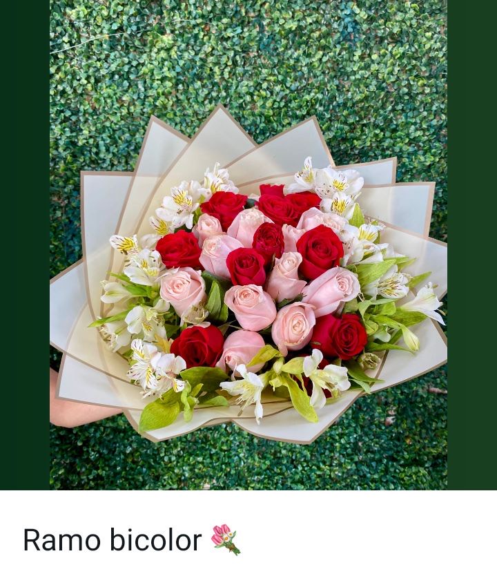Rosas