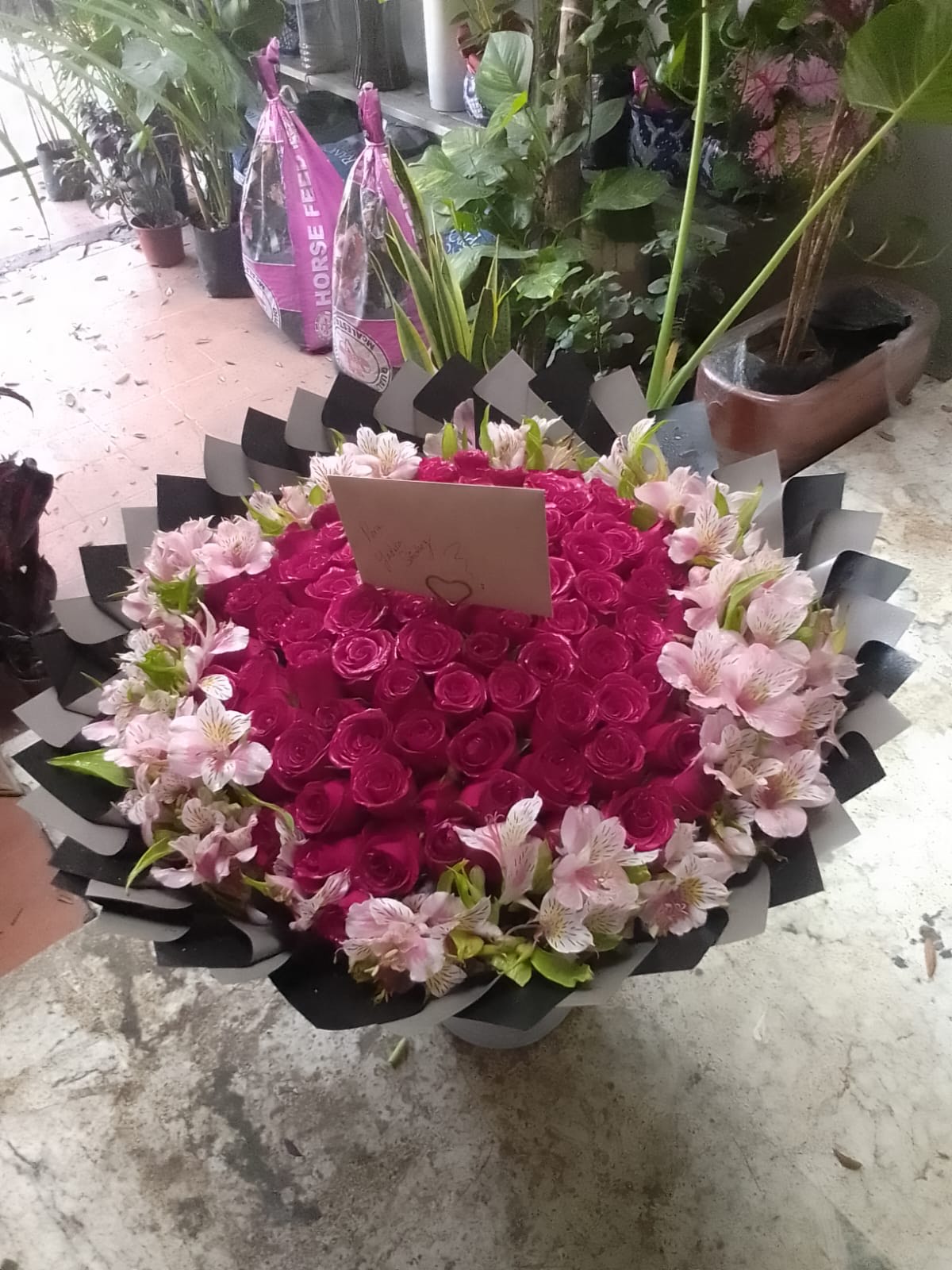 Rosas