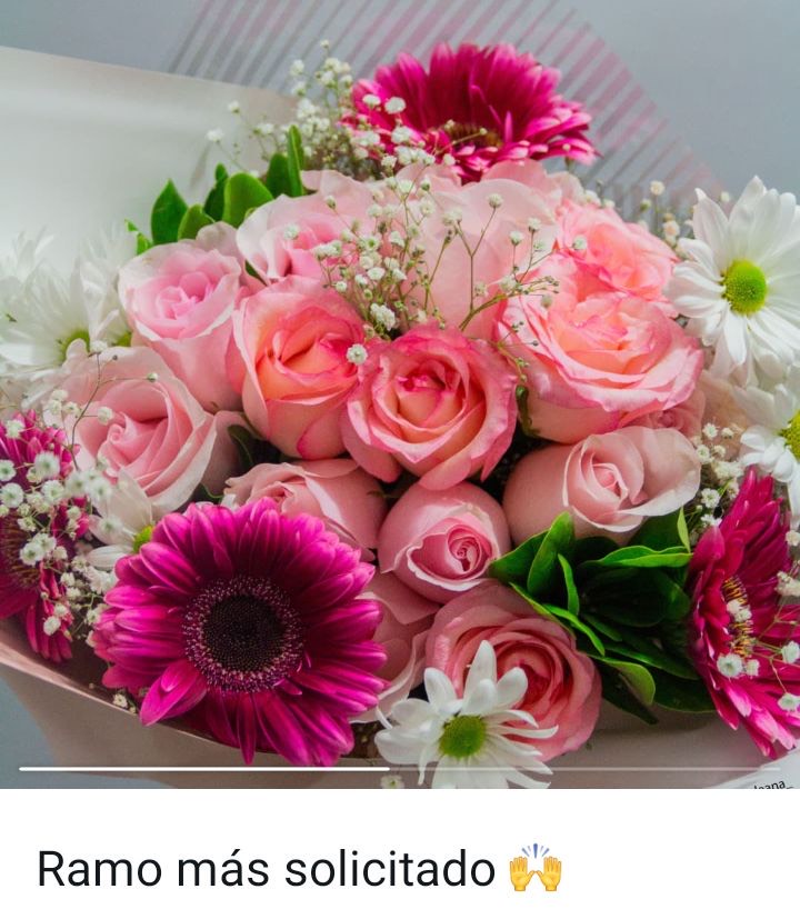 Rosas