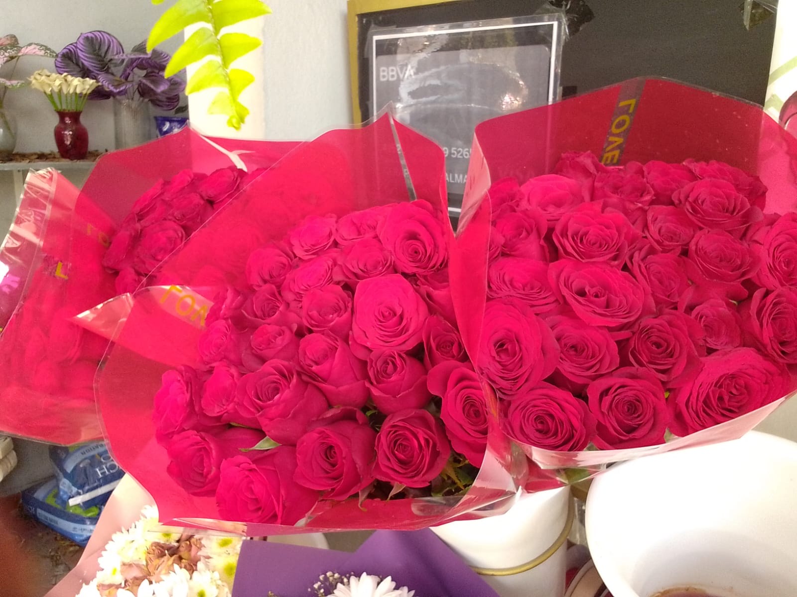 Rosas